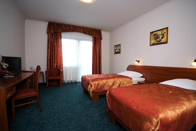 Hotel Salamandra Hoczew Kültér fotó